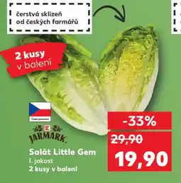 Kaufland Salát Little Gem nabídka