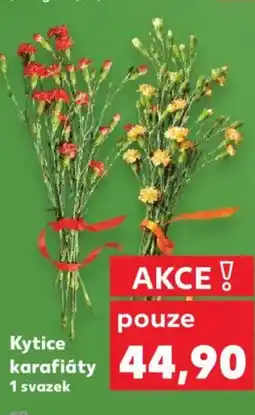 Kaufland Kytice karafiáty nabídka