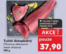 Kaufland Tuňák žlutoploutvý (Thunnus albacares) nabídka