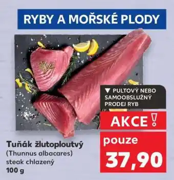 Kaufland Tuňák žlutoploutvý nabídka