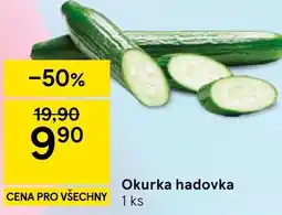 Tesco Okurka hadovka nabídka