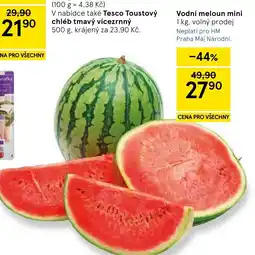 Tesco Vodní meloun mini nabídka