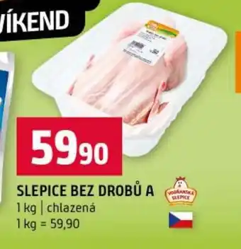 Terno Slepice bez drobů A nabídka
