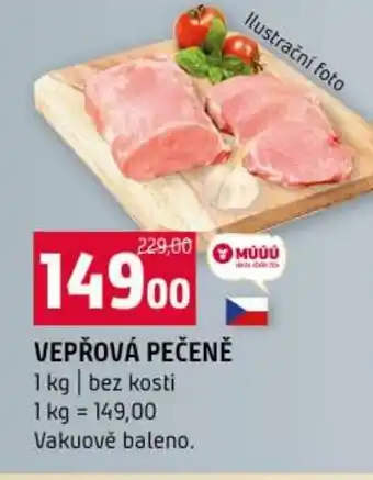 Terno Vepřová pečeně nabídka