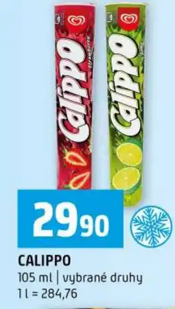 Terno Calippo nabídka