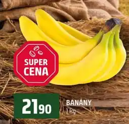 Terno Banány nabídka