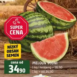 Terno Meloun vodní nabídka