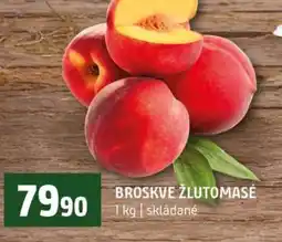 Terno Broskve žlutomasé nabídka