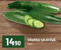 Terno Okurka salátová nabídka