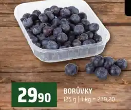 Terno Borůvky nabídka