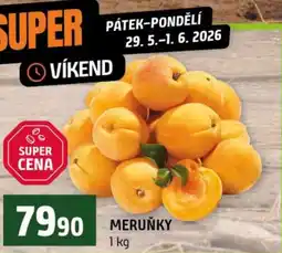Terno Meruňky nabídka