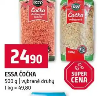 Terno Essa čočka nabídka