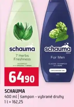 Terno Schauma nabídka