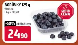 Terno Borůvky nabídka