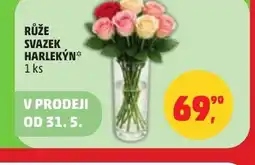 Penny Market Růže svazek harlekýn nabídka