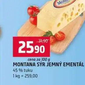 Terno MONTANA SÝR JEMNÝ EMENTÁL 45% tuku nabídka