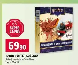 Terno HARRY POTTER SUŠENKY 126 g s mléčnou čokoládou nabídka