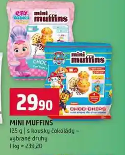 Terno MINI MUFFINS 125 g s kousky čokolády vybrané druhy nabídka