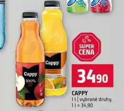 Terno CAPPY 1l vybrané druhy nabídka