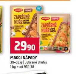 Terno MAGGI NÁPADY 30-32 g vybrané druhy nabídka