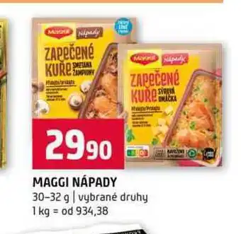Terno MAGGI NÁPADY 30-32 g vybrané druhy nabídka