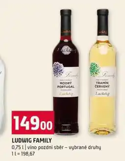 Terno LUDWIG FAMILY 0,75l víno pozdní sběr vybrané druhy nabídka