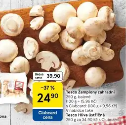 Tesco Tesco Žampiony zahradní nabídka