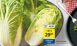Tesco Zelí pekingské nabídka