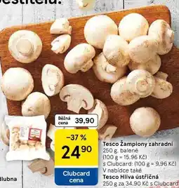Tesco Tesco Žampiony zahradní, 250 g, balené nabídka