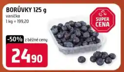 Terno Borůvky 125 g nabídka