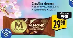 Albert Zmrzlina Magnum nabídka