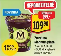 Albert Zmrzlina Magnum pinta nabídka