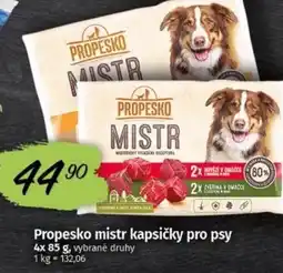 Coop Propesko mistr kapsičky pro psy nabídka