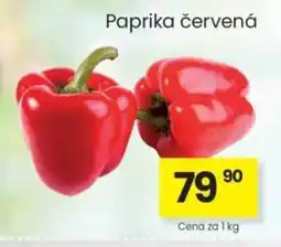 Kubík potraviny Paprika červená nabídka