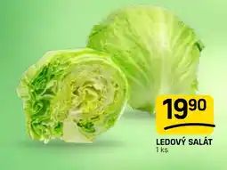 Flop Ledový salát nabídka