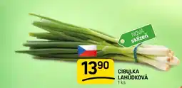 Flop Cibulka lahůdková nabídka