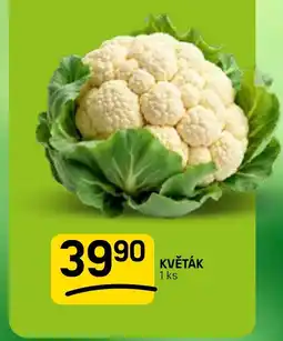 Flop Květák nabídka