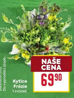 Billa Kytice Frézie nabídka