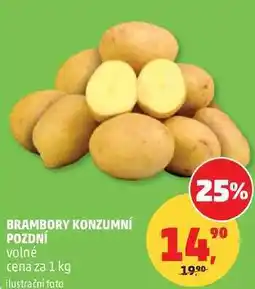 Penny Market BRAMBORY KONZUMNÍ POZDNÍ volné nabídka