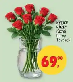 Penny Market KYTICE RŮŽE různé barvy, 1 svazek nabídka