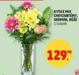 Penny Market KYTICE MIX CHRYZANTÉMY, GERMINI, RŮŽE, 1 svazek nabídka