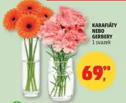 Penny Market KARAFIÁTY NEBO GERBERY, 1 svazek nabídka