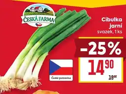 Billa Cibulka jarní nabídka