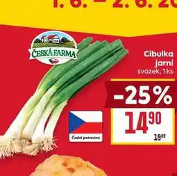Billa Cibulka jarní svazek, 1 ks nabídka