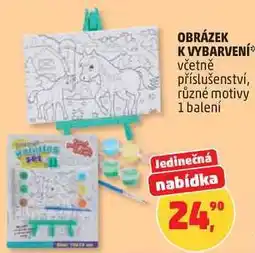 Penny Market OBRÁZEK KVYBARVENÍ včetně příslušenství, různé motivy, 1 balení nabídka