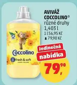 Penny Market AVIVÁŽ COCCOLINO různé druhy nabídka