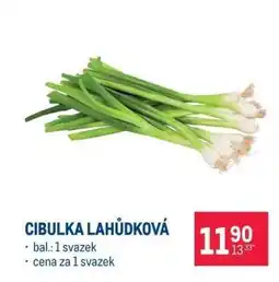 Makro CIBULKA LAHŮDKOVÁ nabídka