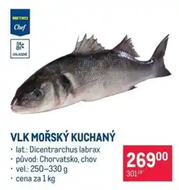Makro Vlk mořský kuchaný nabídka