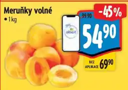 Albert Meruňky volné nabídka