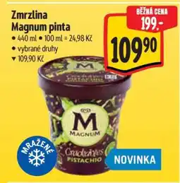 Albert Zmrzlina Magnum Pinta nabídka